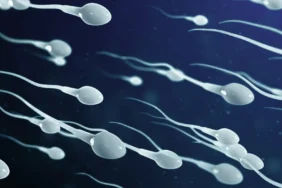 sperm-health
