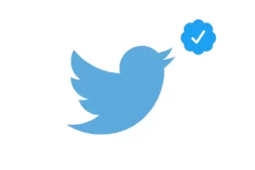 twitter-new-verification-program