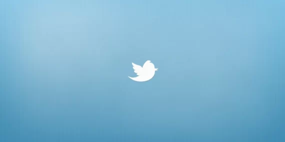 Twitter, kuruluş doğrulama programı için erken erişim kayıtlarını açıyor