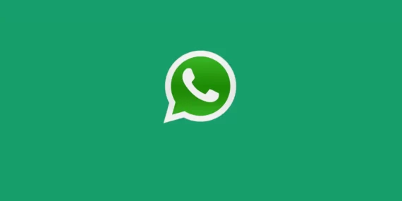 WhatsApp, mesaj tepkileri özelliği için ‘Dokunsal Geri Bildirim’ yayınlıyor