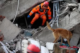 turkey-earthquake-56546