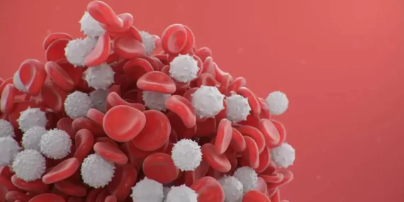 Beyaz-Kan-Hucreleri-54435