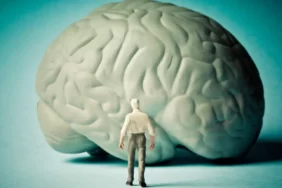 Alzaymir-34534534534