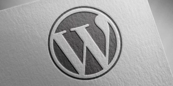 WordPress-65954654689896758