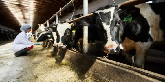 Ahir-Laboratuari-543656