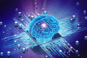 3D-Insan-Beyni-34234234234