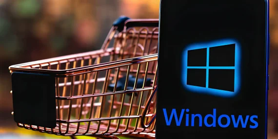 Windows-4387438978943798483