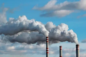 Karbon-Salinimi-45435345345345