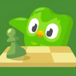 Duolingo-51555