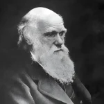 Darwin-432424