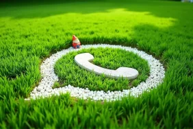 WhatsApp-324452354432456234456236