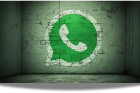 WhatsApp-42348801234674875231564