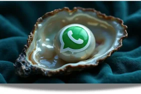 WhatsApp-432478327489023740923470892
