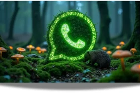 WhatsApp-87923478902347890789873428732