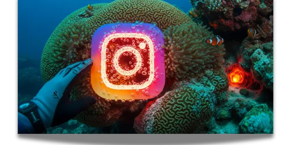 Instagram-Logo-34324234