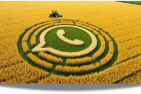 WhatsApp-541254-12562156