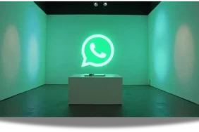 WhatsApp-55469303846347430923