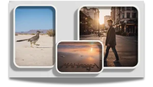 MAI-Image-1-78565656757