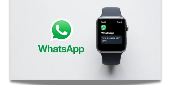 WhatsApp-310232201235232001