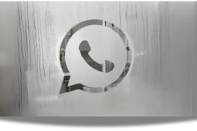 WhatsApp-4556223434253432555444