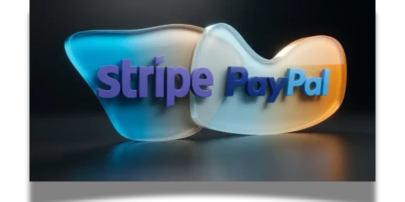 PayPal, Stripe ve Advent’in 53 milyar dolarlık ilk satın alma teklifini geri çevirdi