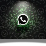 WhatsApp Usernames Contacts